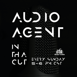 Audio Agent - In Tha Cut