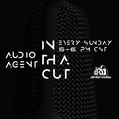 Audio Agent - In Tha Cut 232